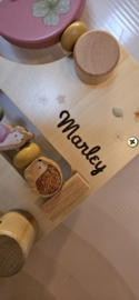 Little Dutch babywalker Fairy Garden met naam