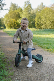KAYA 4 in 1 driewieler met naam groen
