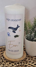 Doop- of geboortekaars met naam Oceaan