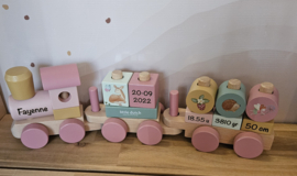 Little Dutch Fairy Garden blokkentrein met geboortegegevens