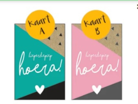 koffertje 'hond/kat  blijft slapen' sierlijke letters