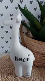 BamBam giraffe spaarpot  (met naam)