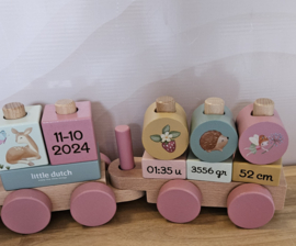 Little Dutch Fairy Garden blokkentrein met geboortegegevens
