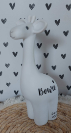 BamBam giraffe spaarpot  (met naam)