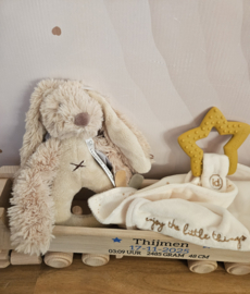 GEVULDE Amerikaanse vrachtwagen lang met oplegger A (met naam en gegevens)