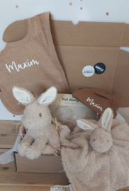 Little Dutch Baby Bunny cadeauset