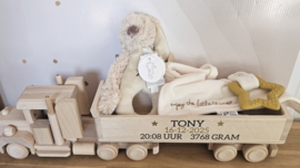 GEVULDE Amerikaanse vrachtwagen lang met oplegger A (met naam en gegevens)