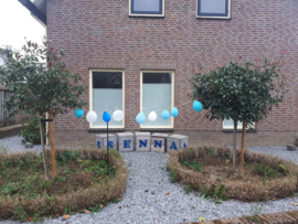 Geboortetoren / Blokkentoren tuin met naam