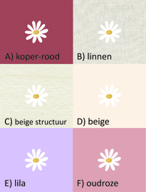 Bewaardoos met naam  Madeliefjes div. kleuren