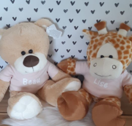 Teddybeer met naam