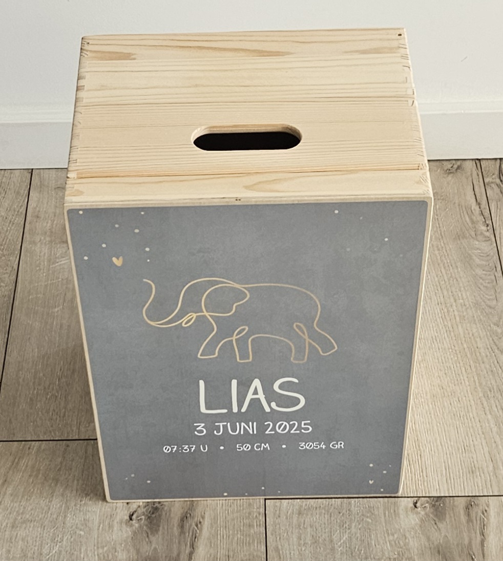 Houten herinneringskist met naam Olifant Silhouette