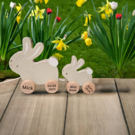 Little Dutch Little Farm trekdier konijnen baby bunny met naam