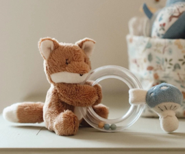 Little Dutch cadeaupakket  met naam