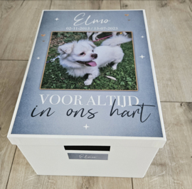 Herinneringsdoos overlijden huisdier diverse kleuren
