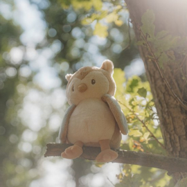 Little Dutch Forest Friends knuffel uil