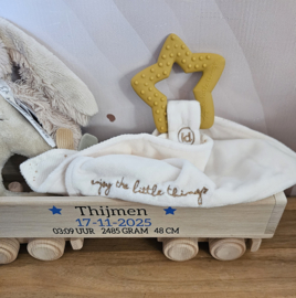 GEVULDE Amerikaanse vrachtwagen lang met oplegger A (met naam en gegevens)