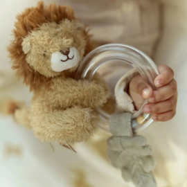 Little Dutch Safari Leeuw cadeaupakket met naam