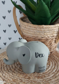 BamBam olifant spaarpot  (met naam)