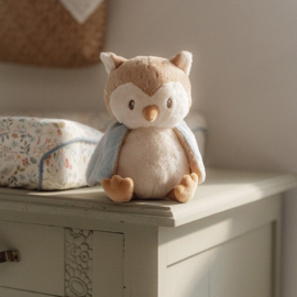Little Dutch Forest Friends knuffel uil