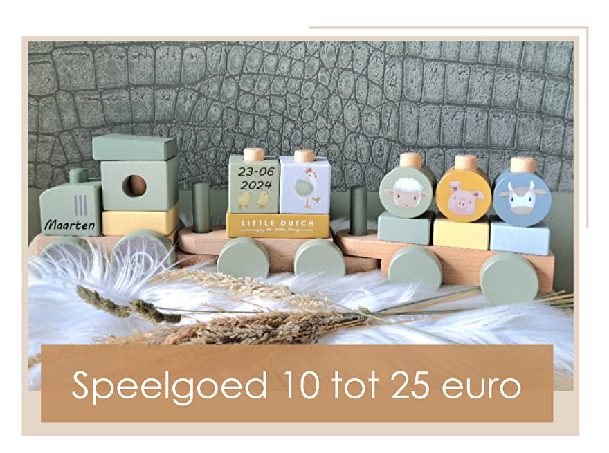 speelgoed van 10 tot 25 euro