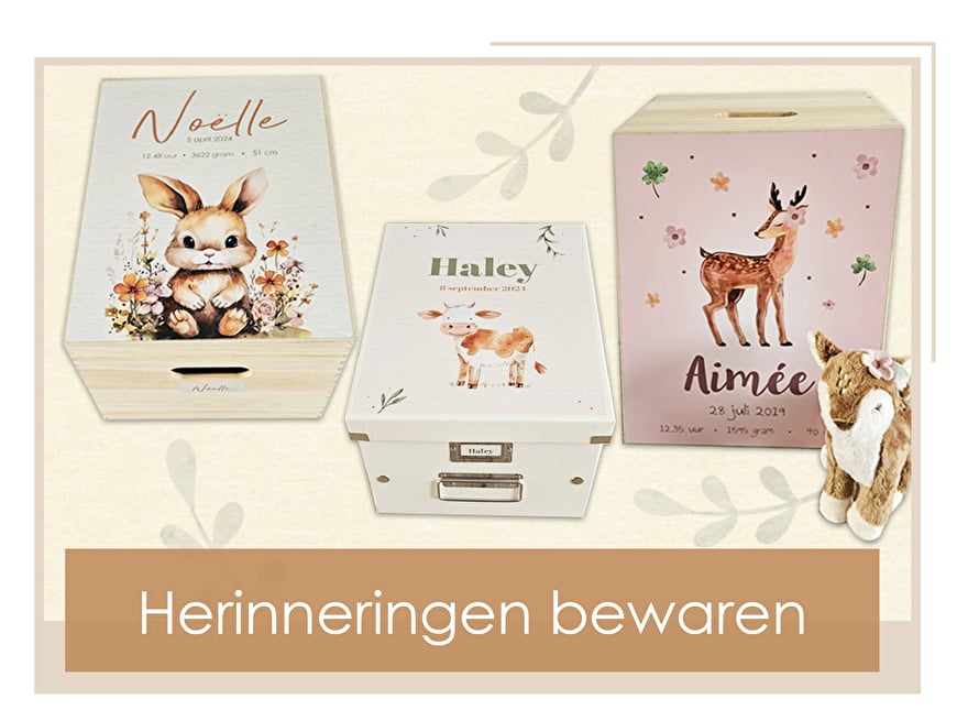 herinneringen bewaren