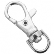 DQ sleutelhanger 38 mm Zilver plated