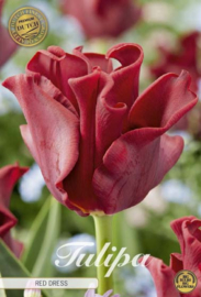 Tulipa Crown Red Dress
