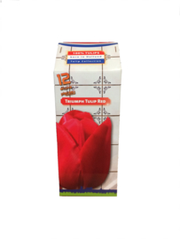 Milkpack with Tulipbulbs