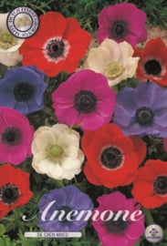 Anemone The Caen Mix