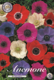 Anemone The Caen, Mix