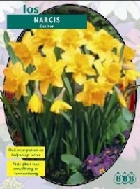 Narcis Carlton per 400