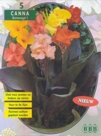 Canna mixed