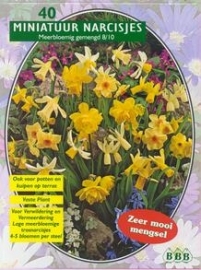 Narcis Mini Mix