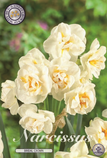 Narcis Botanical Bridal Crown