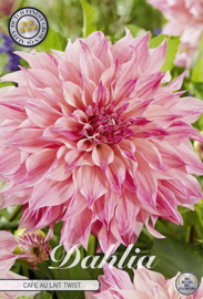 Dahlia Decoratief Cafe au Lait Twist