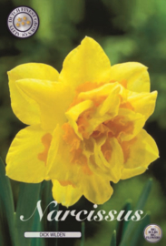 Narcis Double Dick Wilden