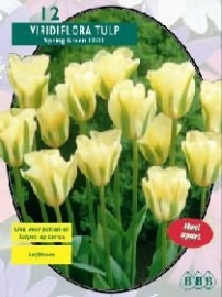 Tulipa Spring Green, Viridiflora