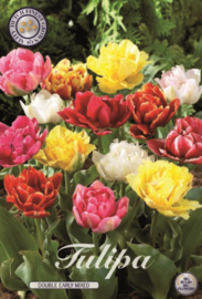 Tulipa Double Early Mixed