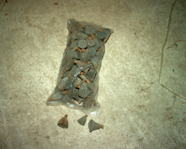 Lotus 2-4 cm