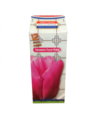 Milchpackchen inclusief Blumenzwiebeln