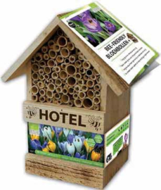 Bee Hotel