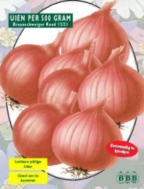 Onion Braunschweiger Red