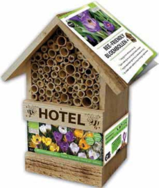 Bee Hotel