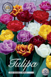 Tulipa Double Mixed
