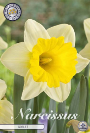Narcis Trumpet Goblet