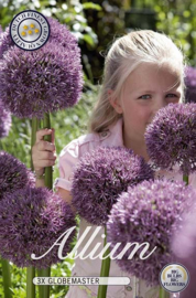 Allium Globemaster