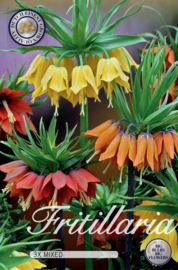 Fritillaria Imperialis Mixed