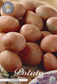 Pootaardappel Bildstar 1 kilo