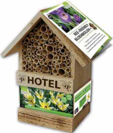 Bee Hotel