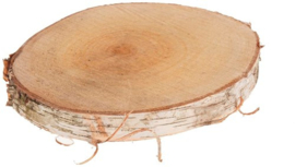 Berkenschijf diameter 10-12 cm